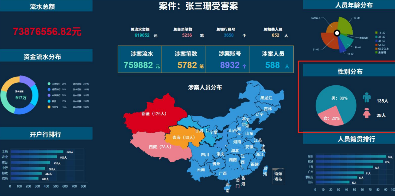 资金分析系统界面展示